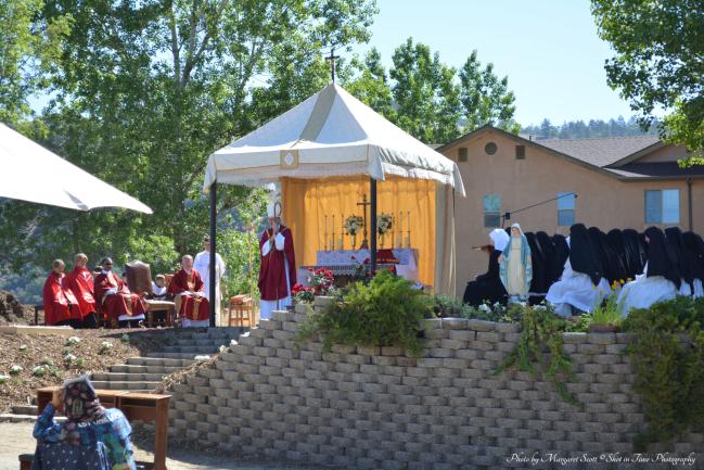 15 Homily